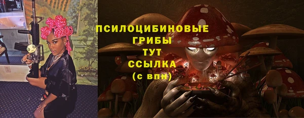 мет Арсеньев
