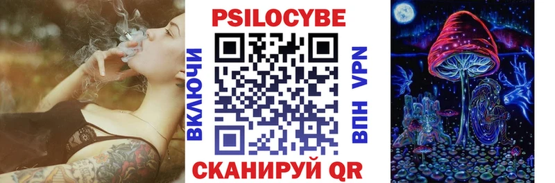 Галлюциногенные грибы Psilocybe  Бирюч 